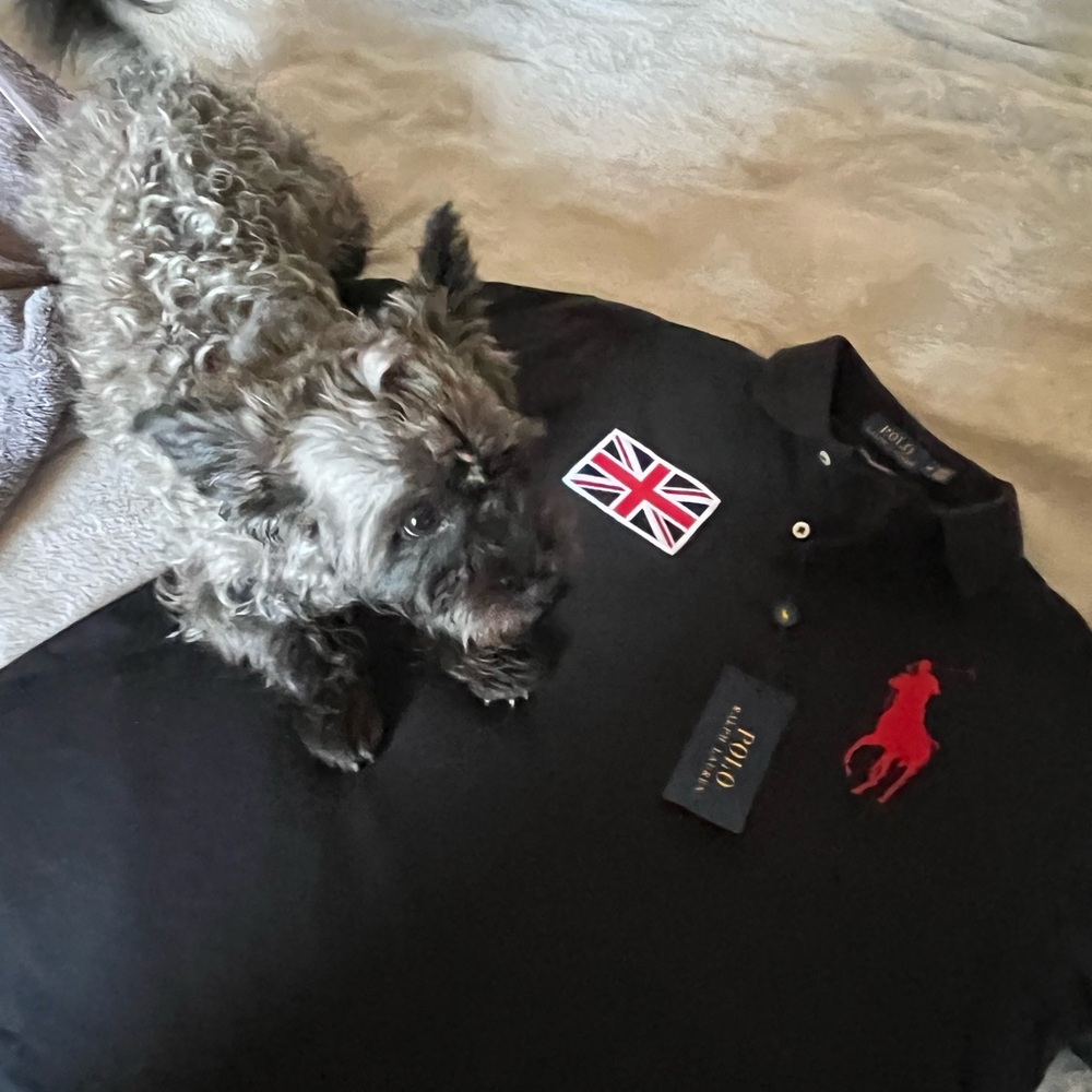 Polo by Ralph Lauren Black Polo Shirt with Red Logo